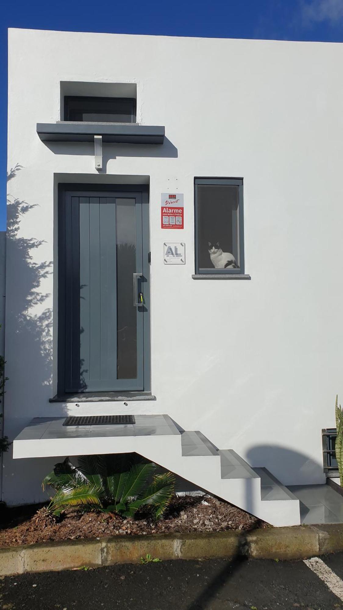 Caminhos Nos Levam Pela Ilha Apartment Ponta Delgada Exterior foto